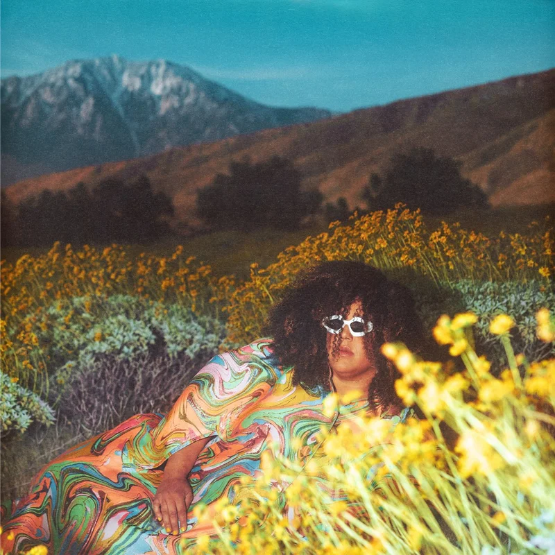 Brittany Howard - What Now LP