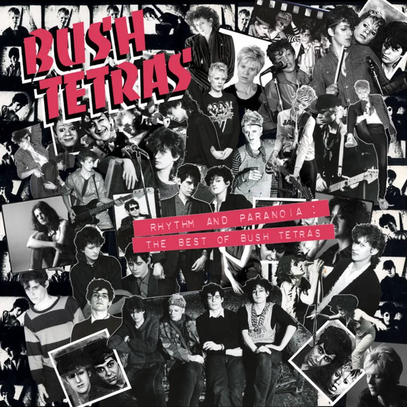 Bush Tetras - Rhythm and Paranoia: The Best of Bush Tetras 3LP + Book