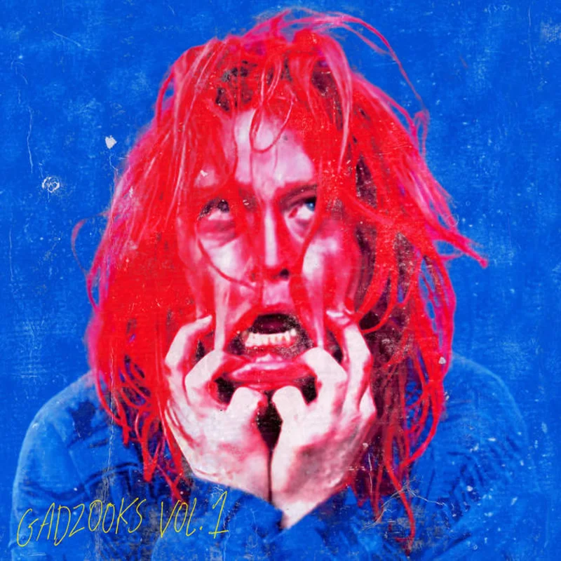 Caleb Landry Jones - Gadzooks, Vol. 1 LP