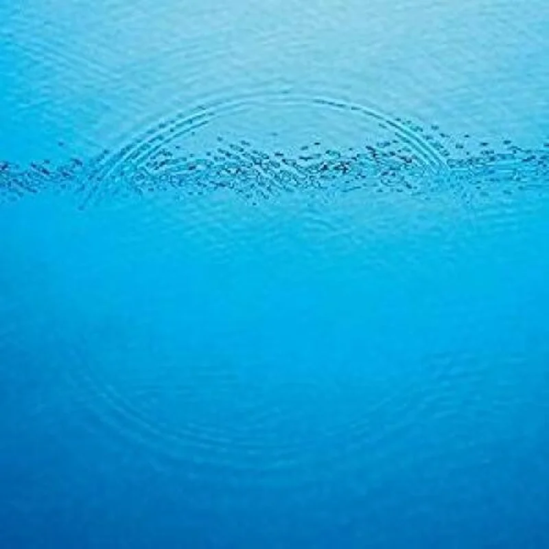 Caribou - Suddenly LP