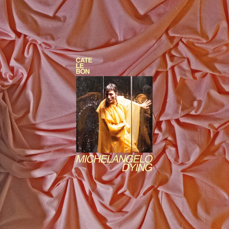 Cate Le Bon - Michelangelo Dying LP