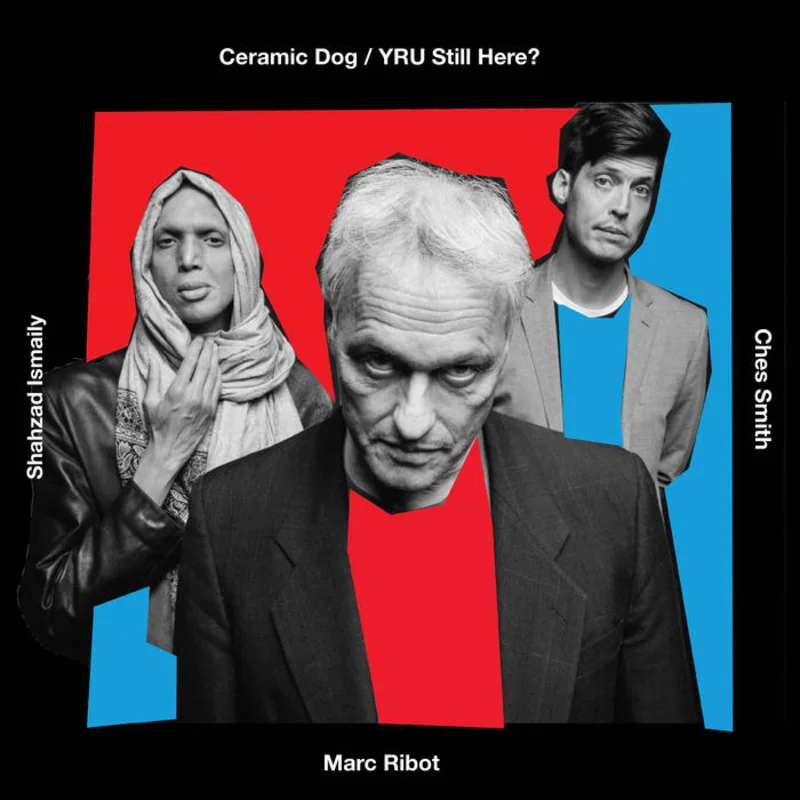 Ceramic Dog - YRU Still Here? LP