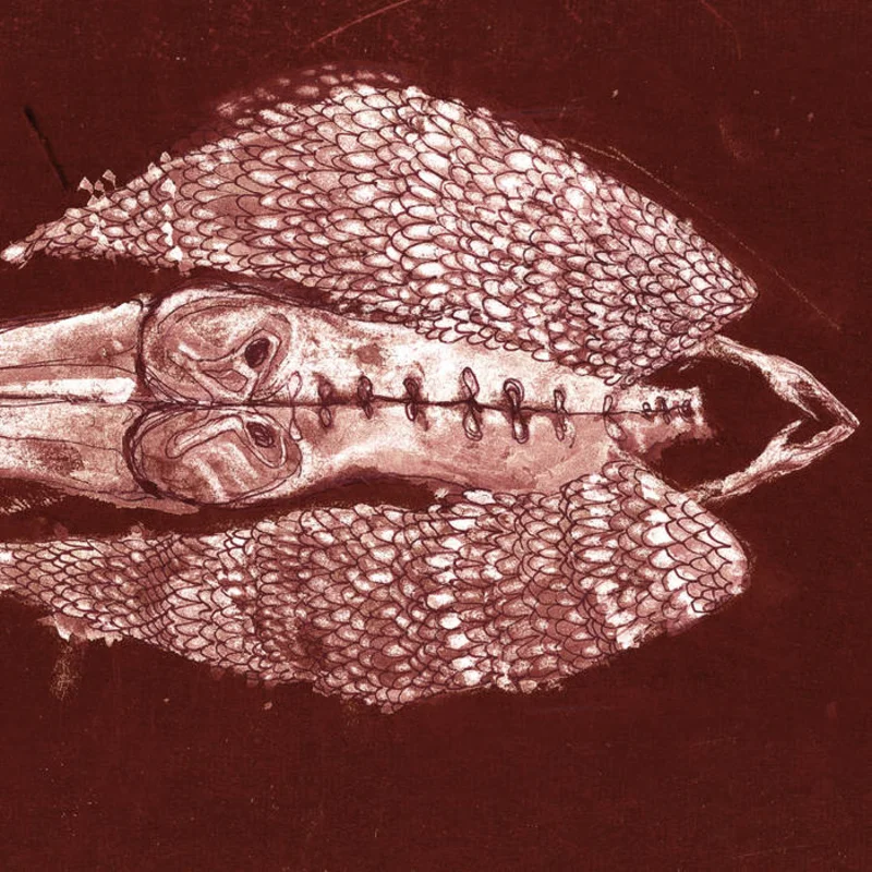 Cerberus Shoal - Homb: Anniversary Edition 2LP