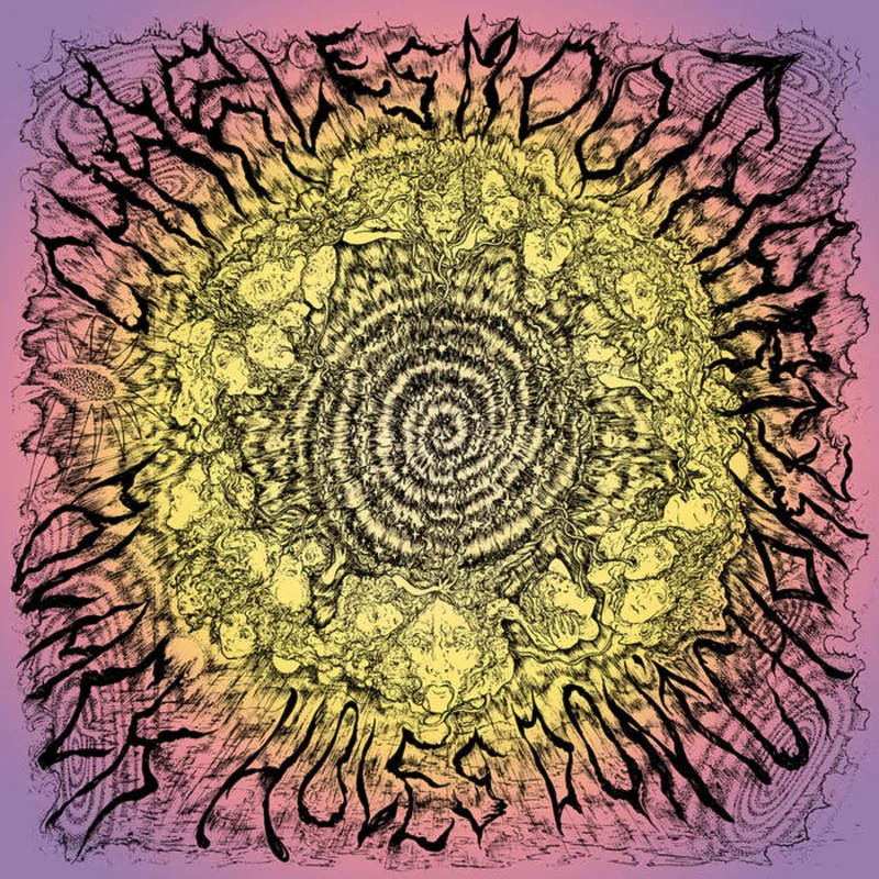 Charles Moothart - Black Holes Don't Choke LP