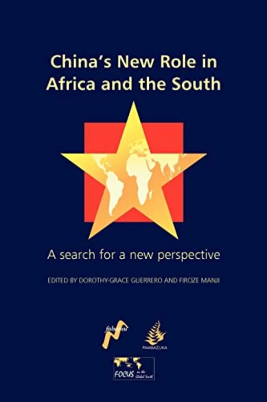 China's New Role in Africa and the South : A Search for a New Perspective