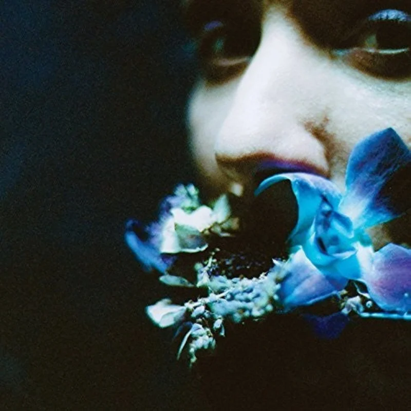 Circuit Des Yeux - Reaching for Indigo LP