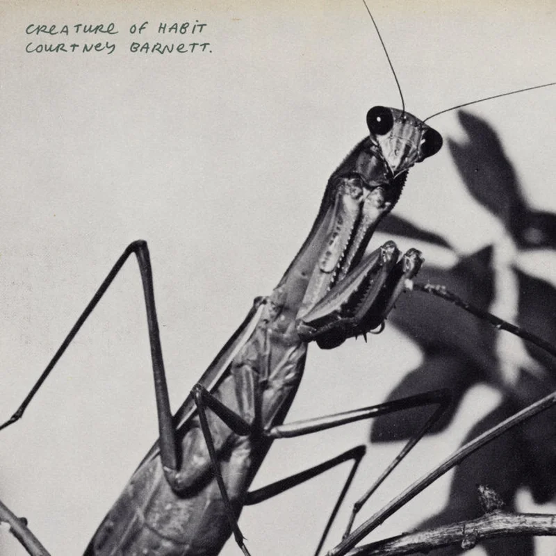 Courtney Barnett - Creature Of Habit LP
