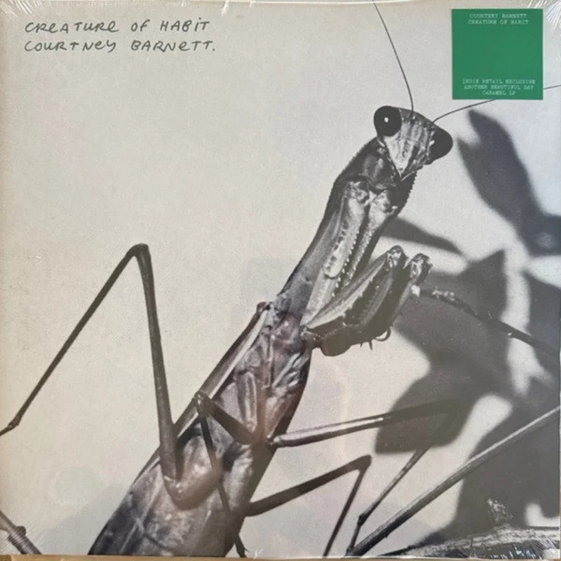 Courtney Barnett - Creature Of Habit (Vinyl)