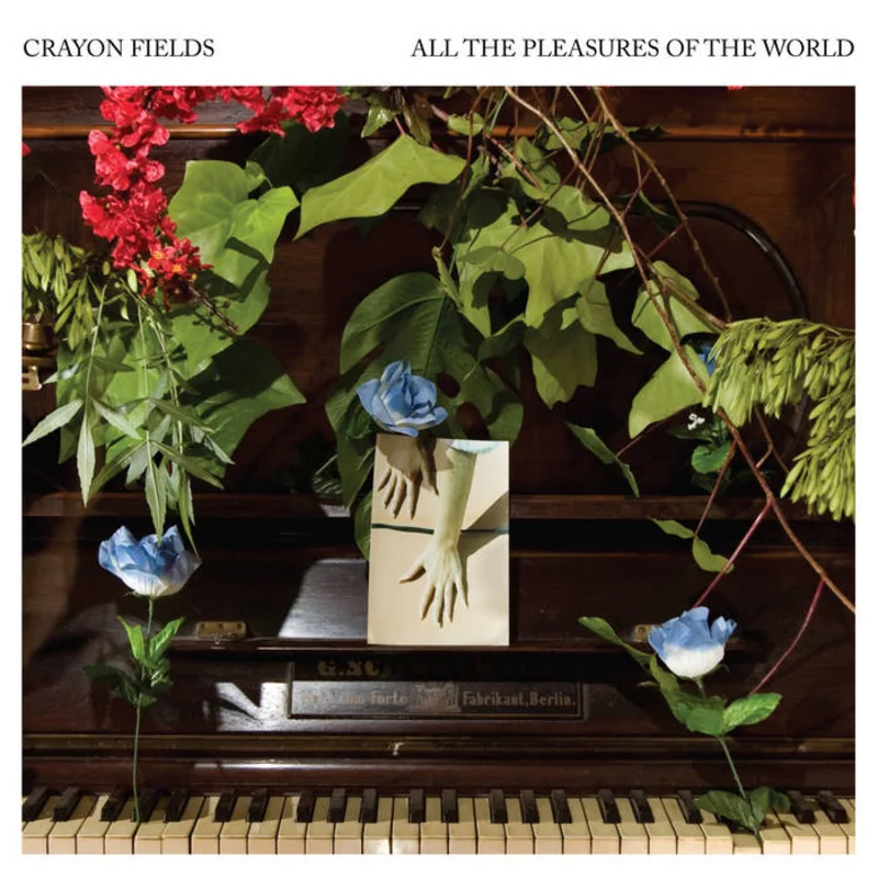 Crayon Fields - All the Pleasures of the World LP