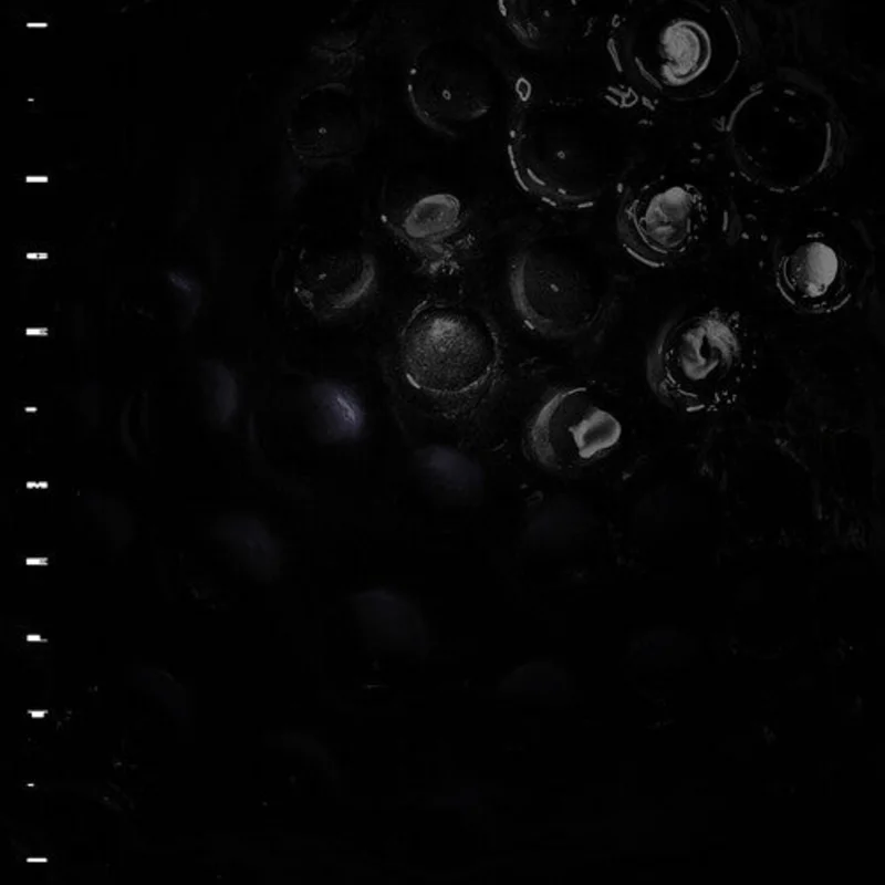 Crumb - Ice Melt LP