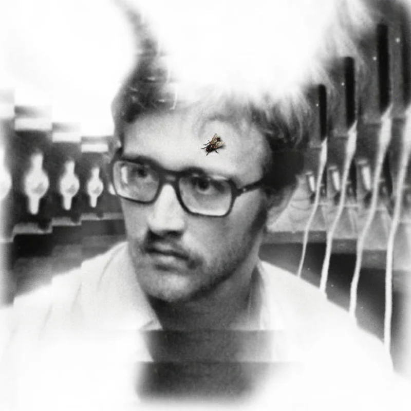 Damaged Bug - Bug on Yonkers LP