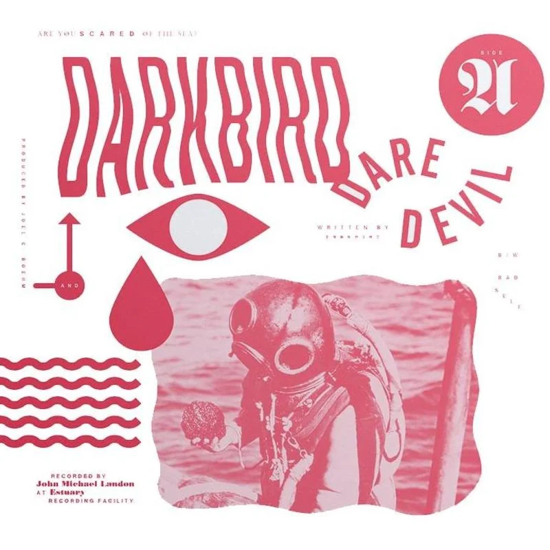 Darkbird - Daredevil