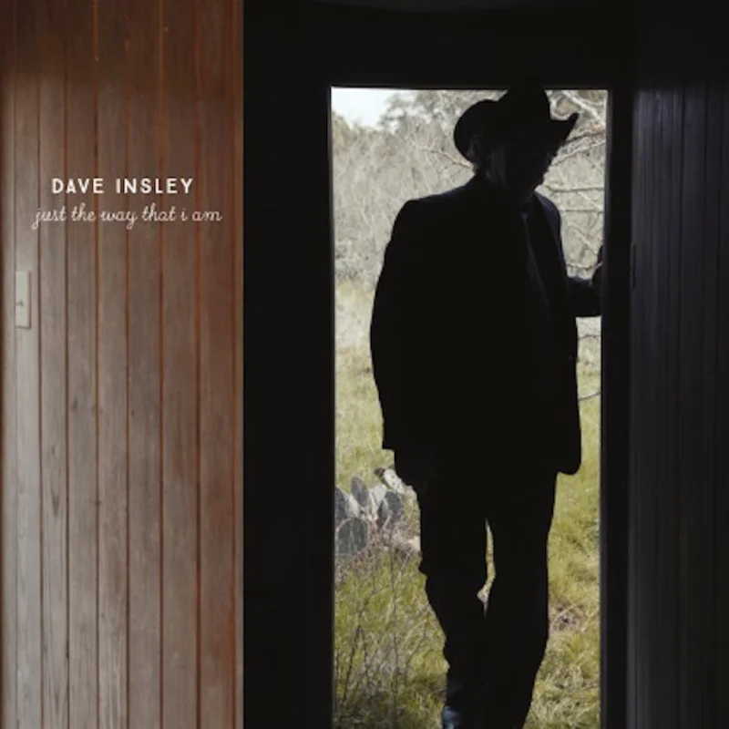 Dave Insley - Just The Way That I Am (lunchbox)