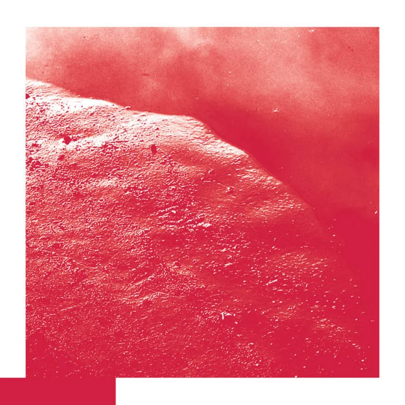 David Allred - The Cell LP