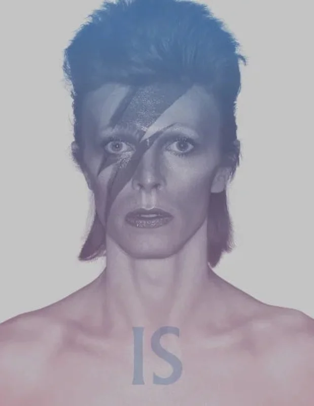 David Bowie is Inside