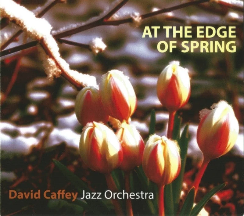 David Caffey Jazz Orchestra - At The Edge Of Spring (CD)