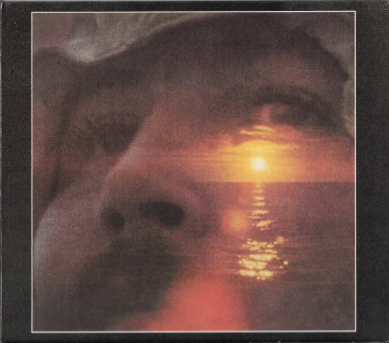 David Crosby - If I Could Only Remember My Name.... (CD)