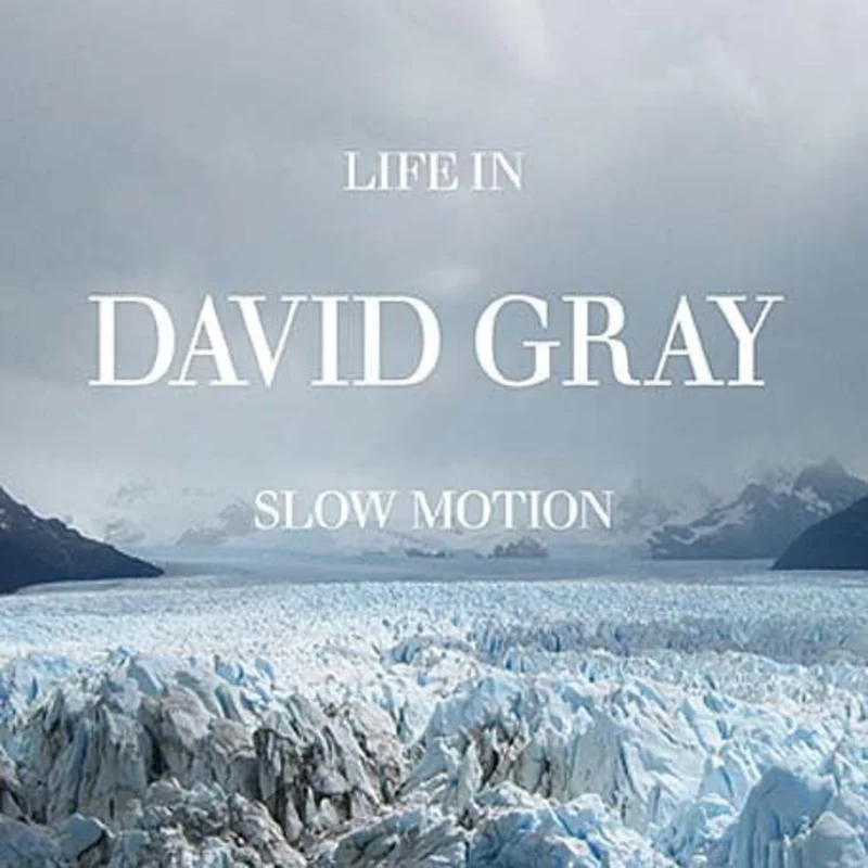 David Gray - Life In Slow Motion (Hybrid)