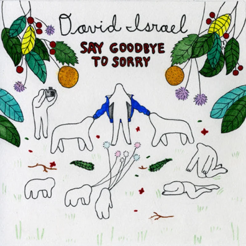 David Israel - Say Goodbye To Sorry (Vinyl)