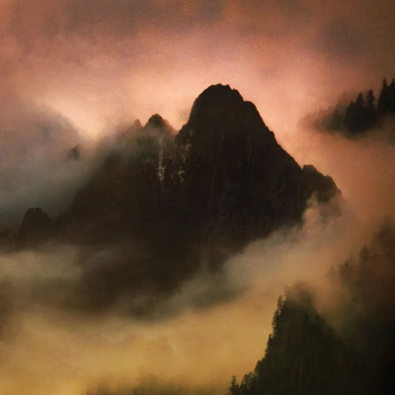 Dead to a Dying World - Elegy 2LP