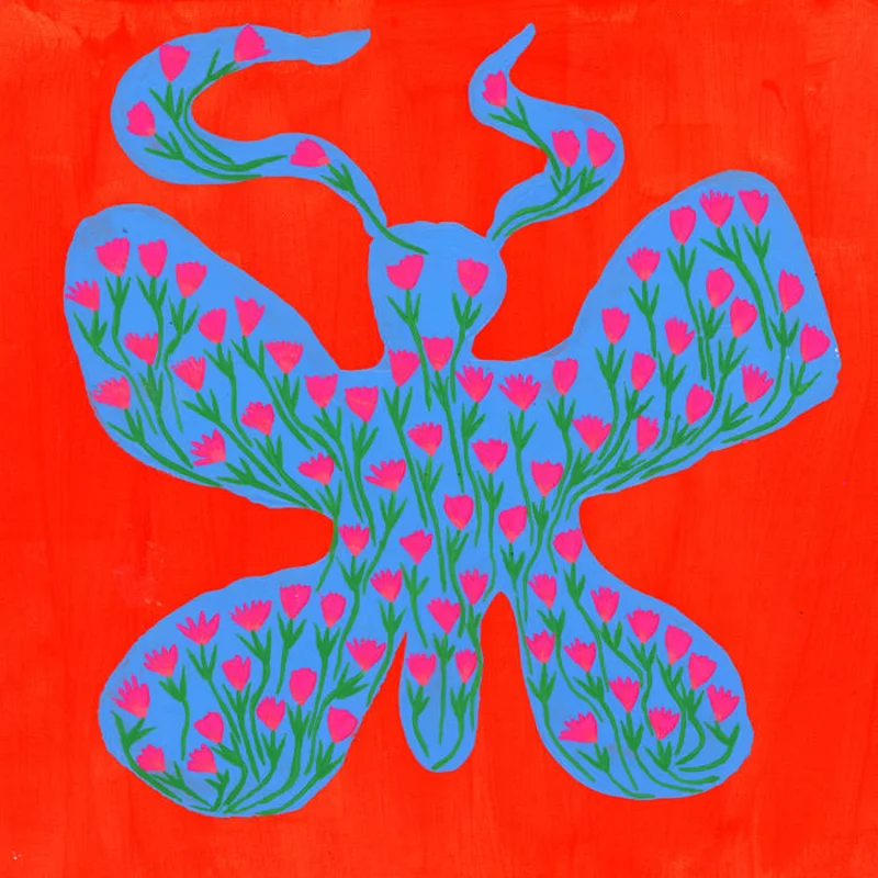Dehd - Blue Skies LP