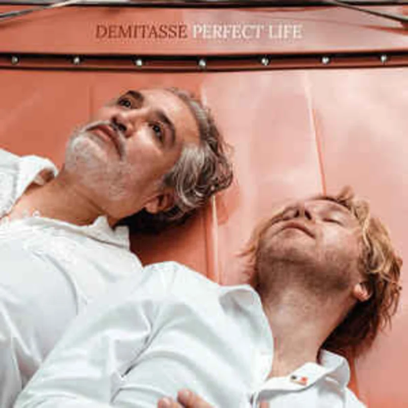 Demitasse - Perfect Life (CDr)