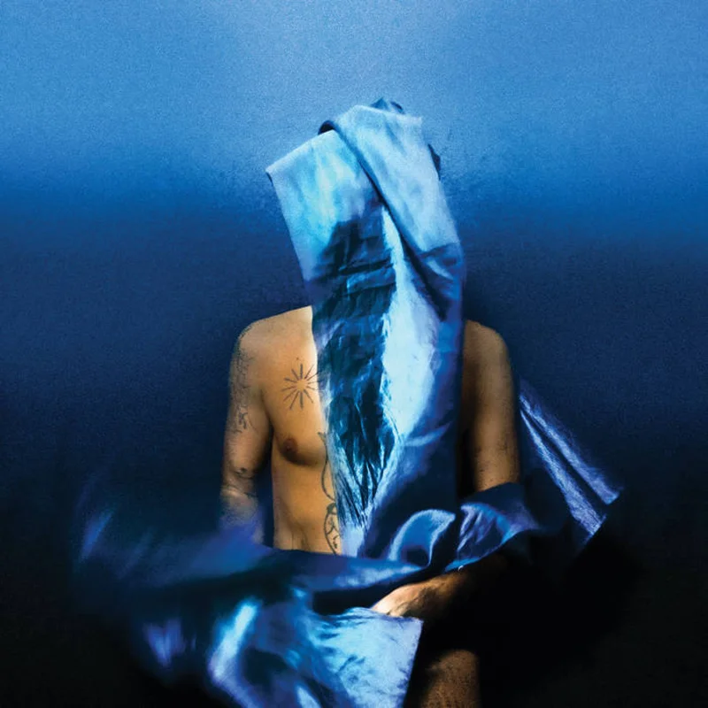 Devendra Banhart - Flying Wig LP