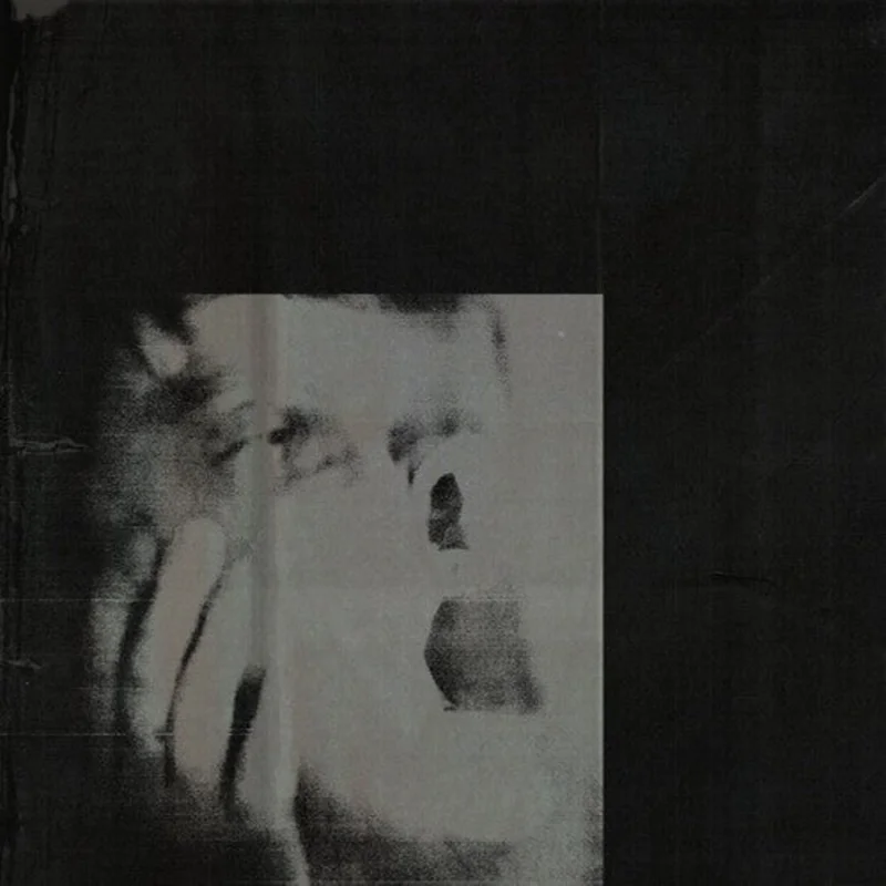 Ditz-Never Exhale (Blue Vinyl) (LP)