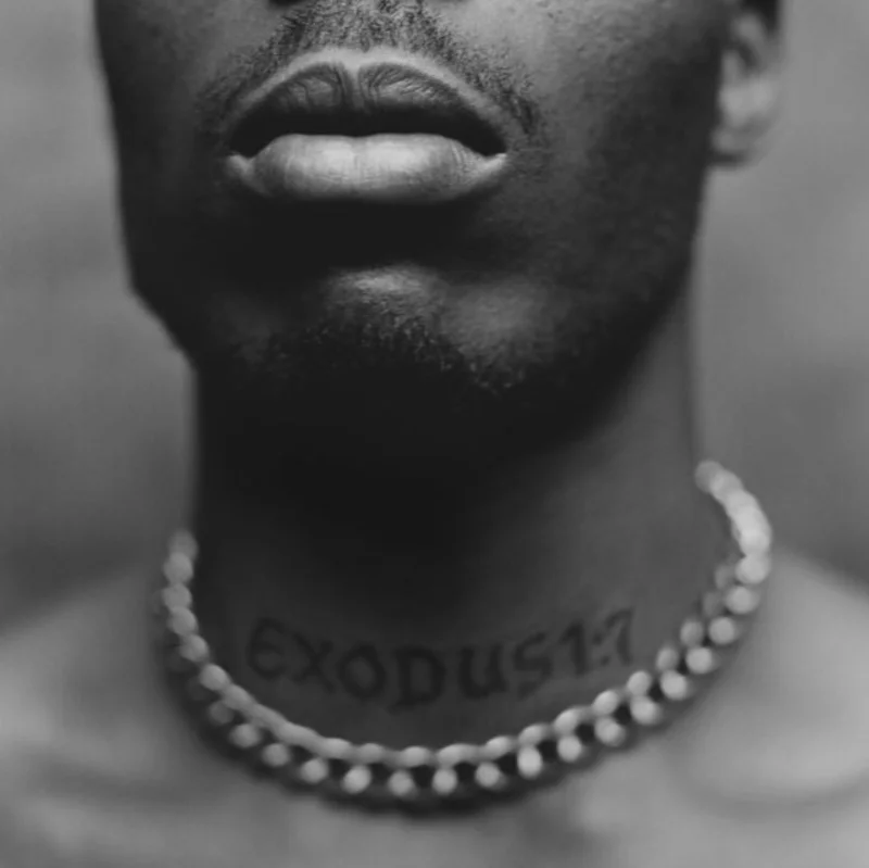DMX-Exodus (LP)