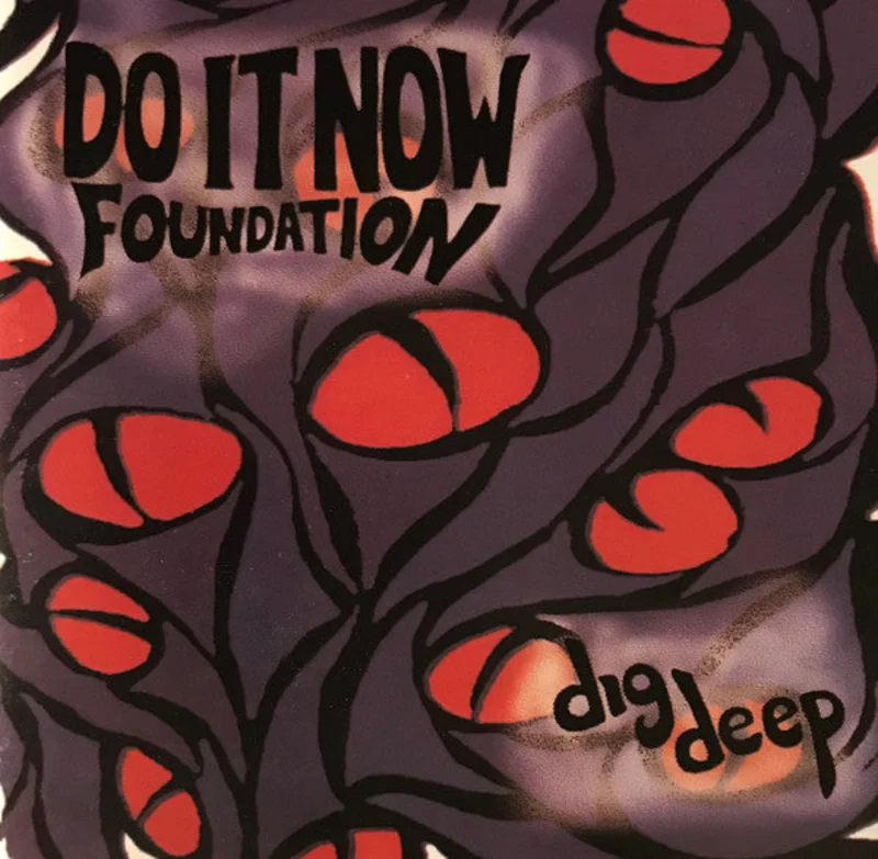 Do It Now Foundation - Dig Deep (CD)