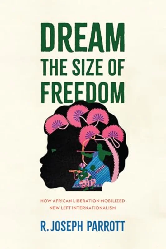 Dream the Size of Freedom : How African Liberation Mobilized New Left Internationalism
