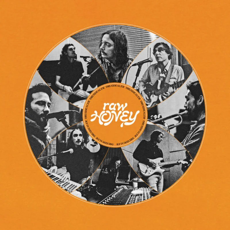 Drugdealer - Raw Honey LP