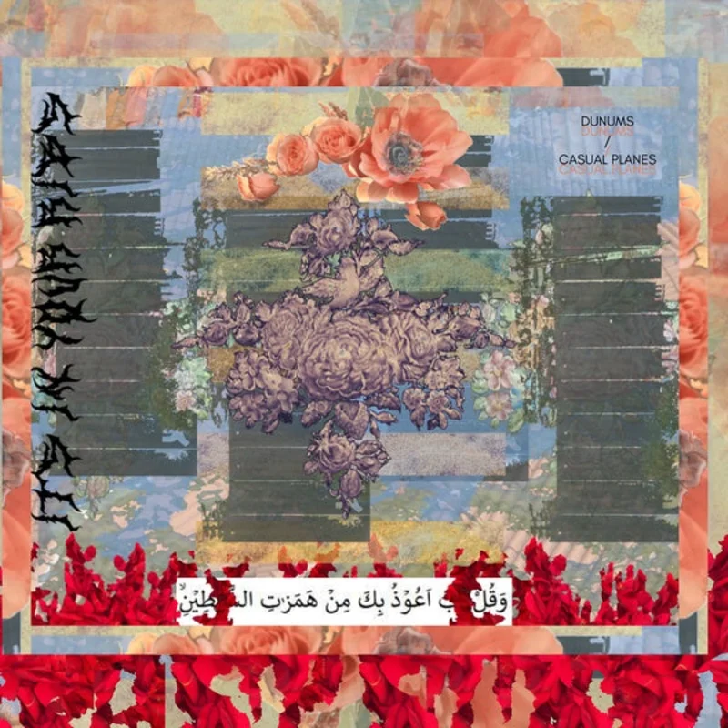 Dunums / Casual Planes - Its in Your Ribs LP