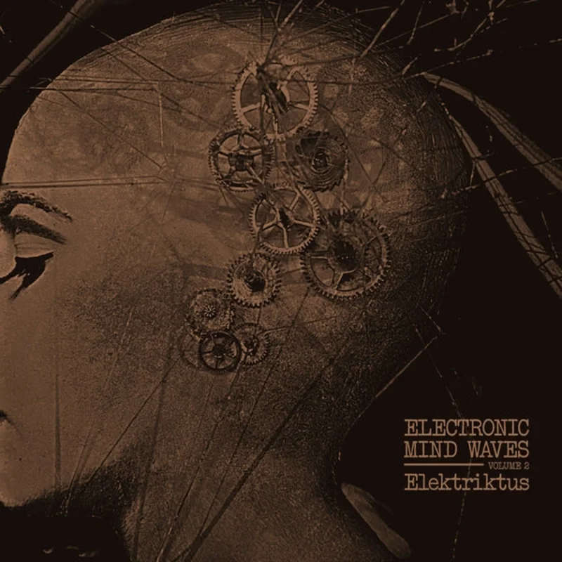 Elektriktus - Electronic Mind Waves, Volume 2 LP