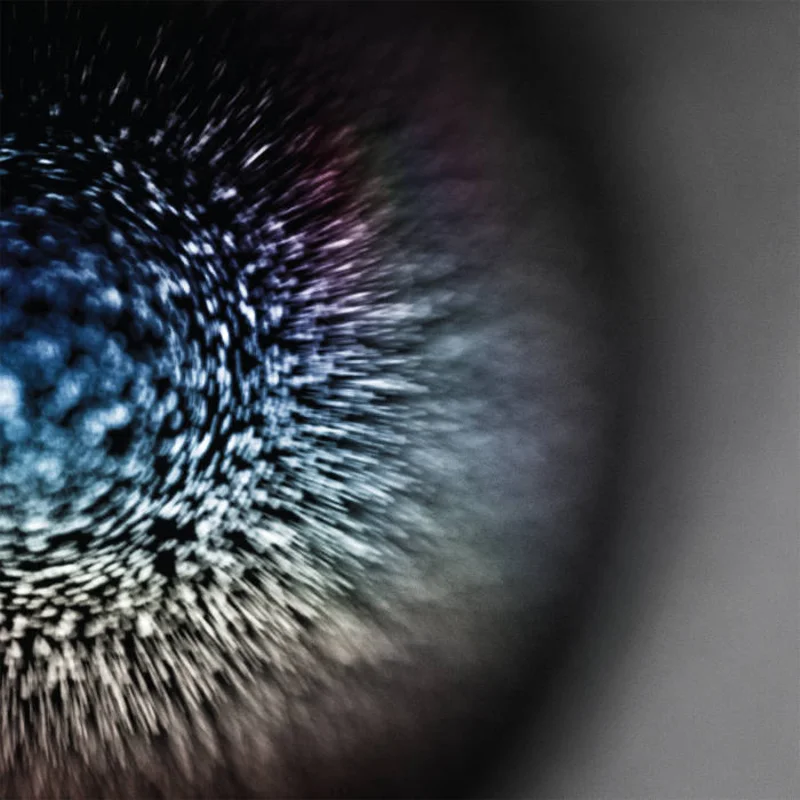 Emptyset - Blossoms LP
