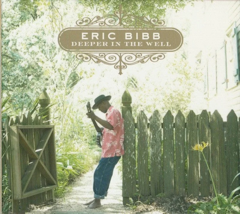 Eric Bibb - Deeper In The Well (CD)