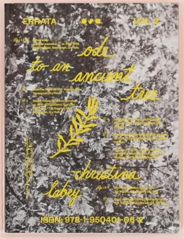 Errata Vol 2 : Ode to an Ancient Tree