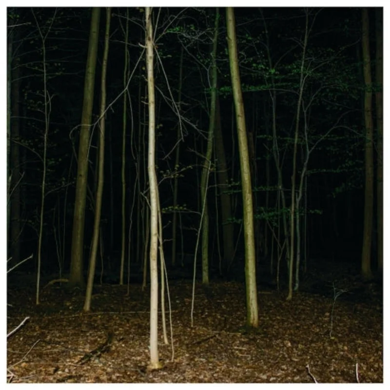 Express Rising - Fixed Rope II LP