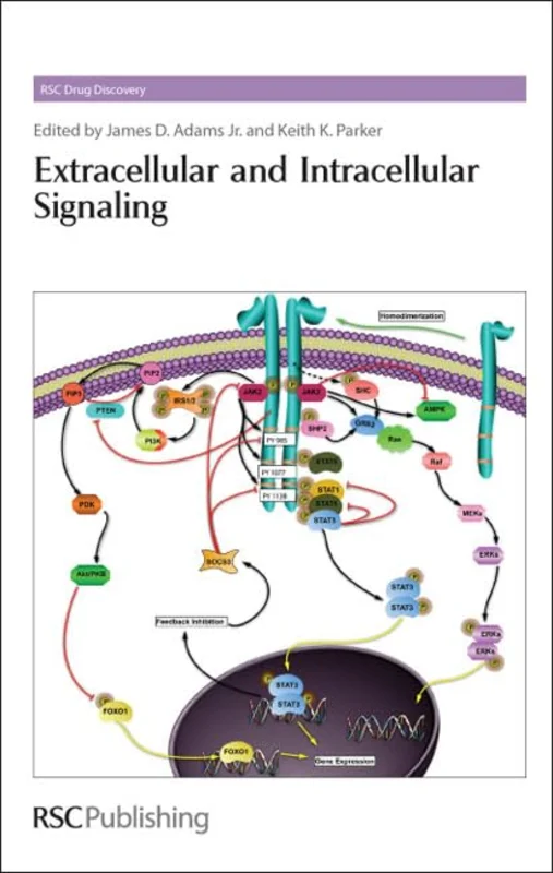 Extracellular and Intracellular Signaling : Volume 10