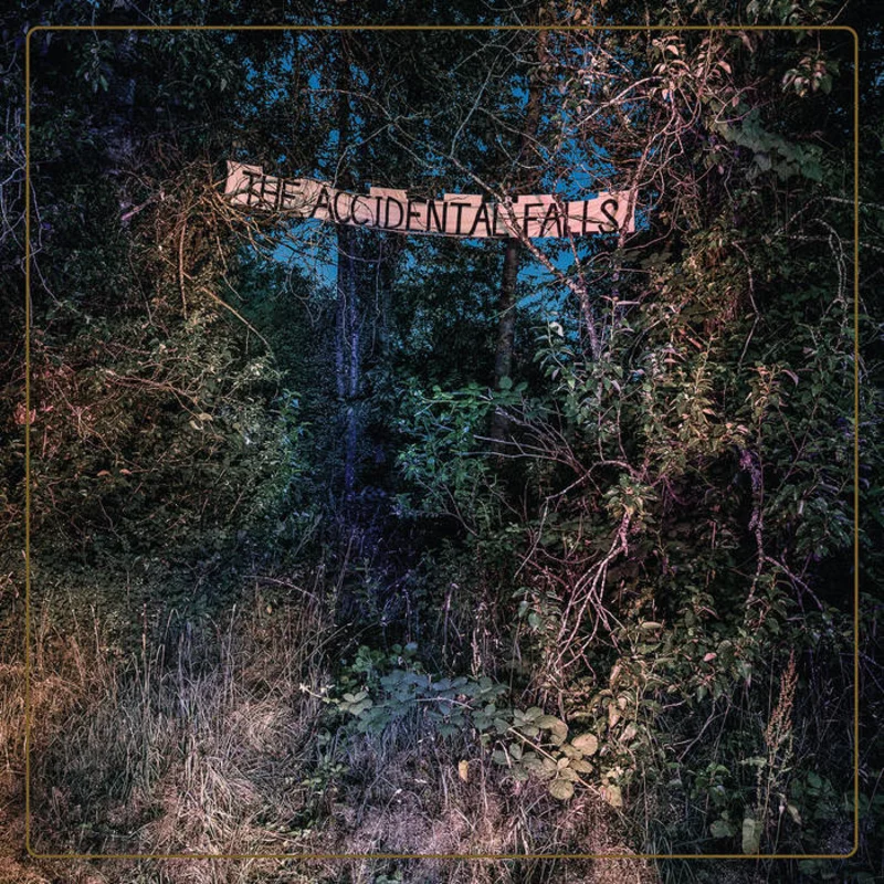 Eyelids - The Accidental Falls LP