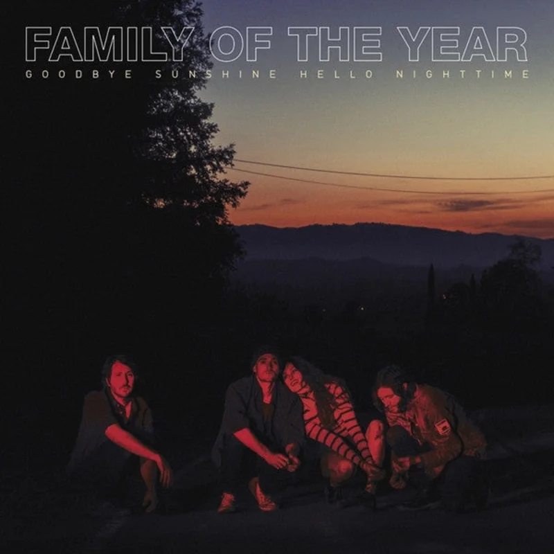 Family Of The Year - Goodbye Sunshine, Hello Nightime (CD)