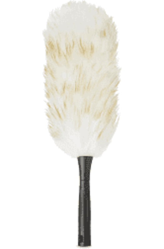 Feather Duster