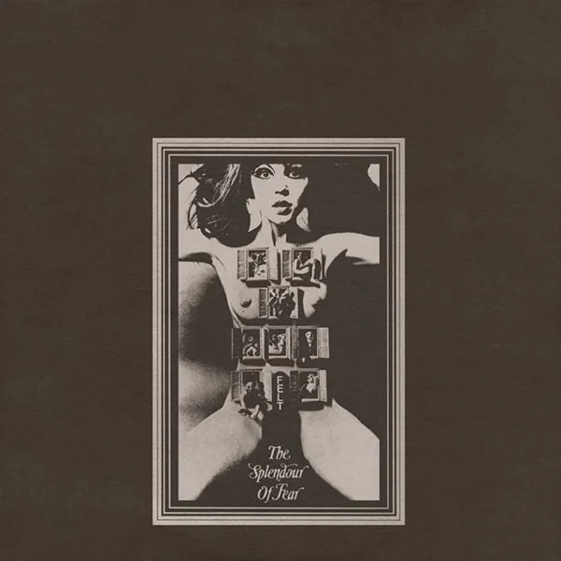 Felt - The Splendour of Fear LP