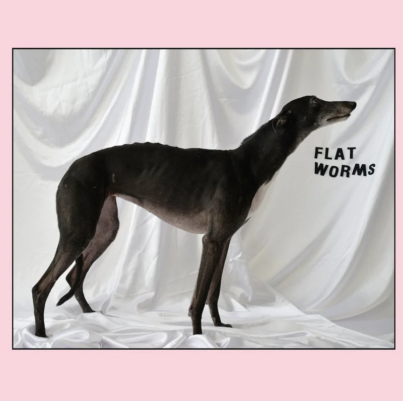 Flat Worms - Flat Worms LP