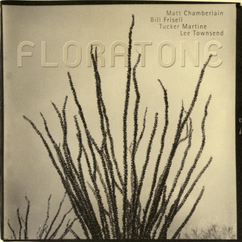 Floratone - Floratone (CD)