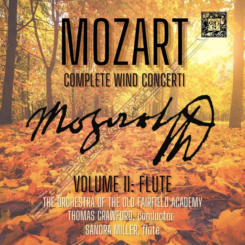 Flute Concerto In D Major, K. 314: 2. Andante Ma Non Troppo