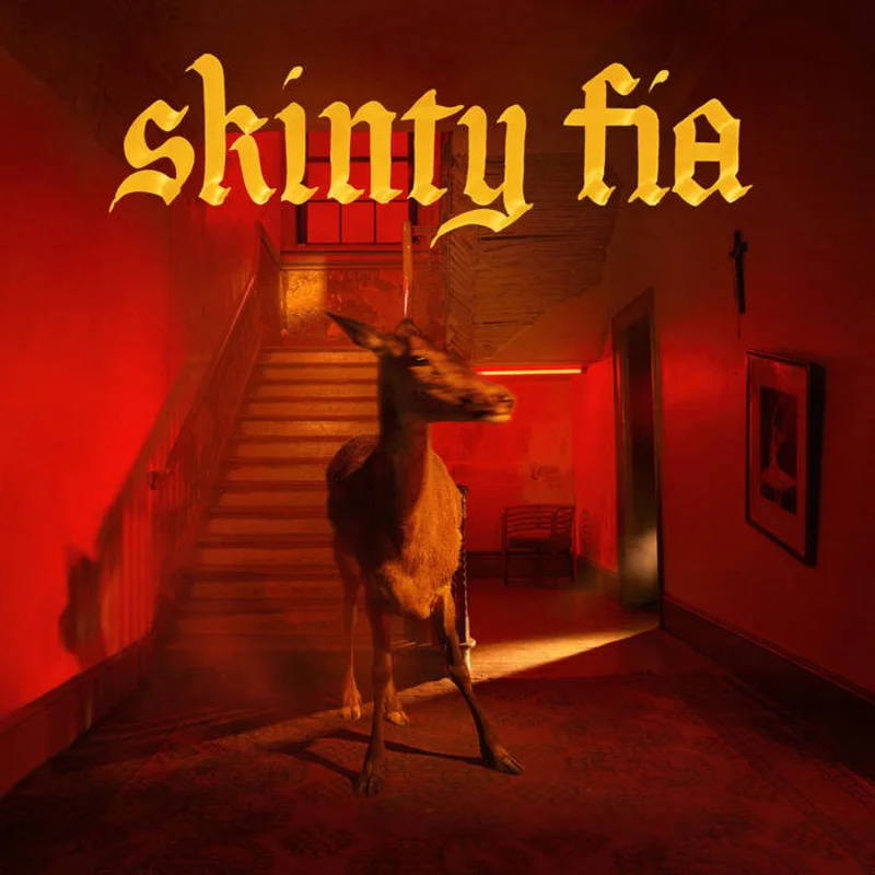 Fontaines D.C. - Skinty Fia LP