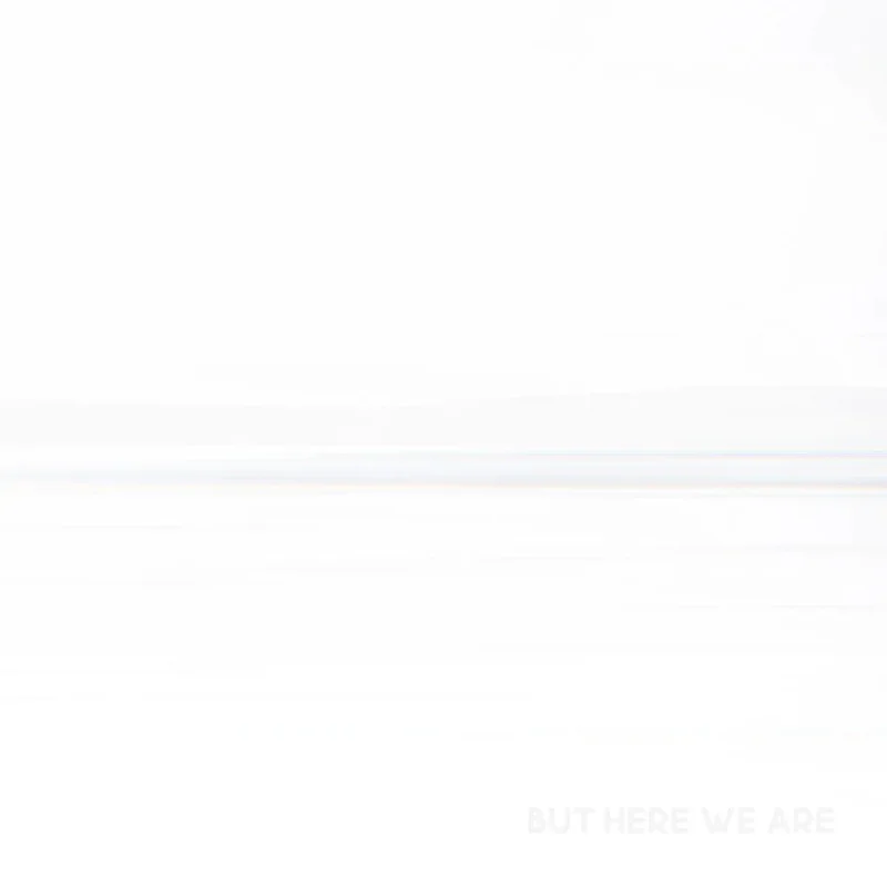 Foo Fighters - But Here We Are LP