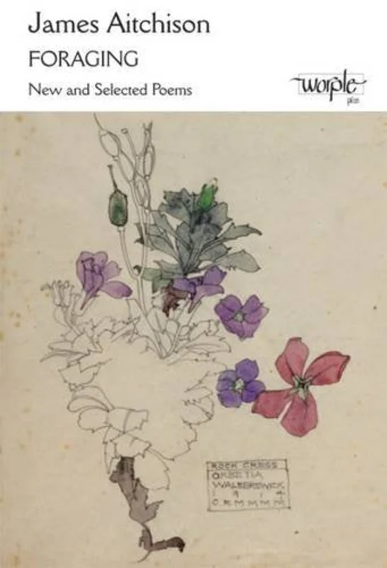 Foraging : New and Selected Poems