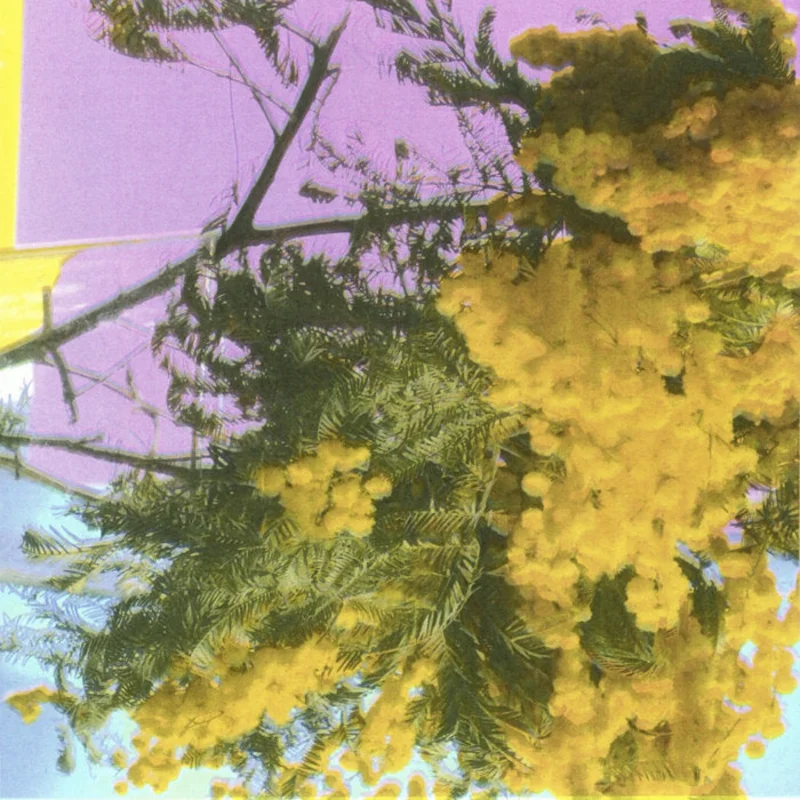 Four Tet - Into Dust (Still Falling) 12"